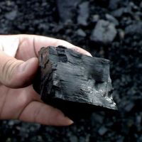 فروش زغال سنگ
